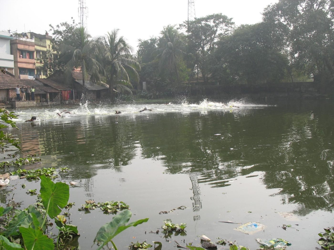 Mecheda locality, legacy archive